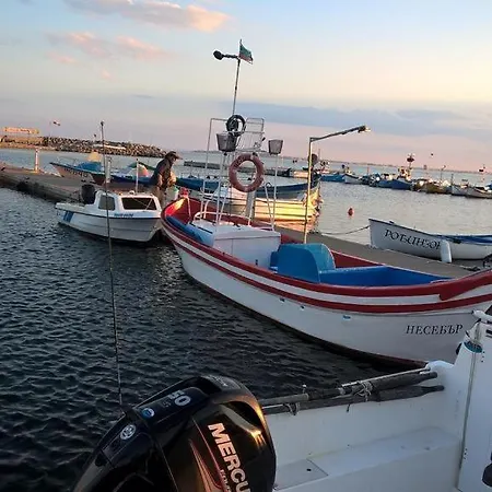Sea View سفيتي فلاس